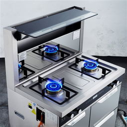 為什么方太老板帥康不做集成灶